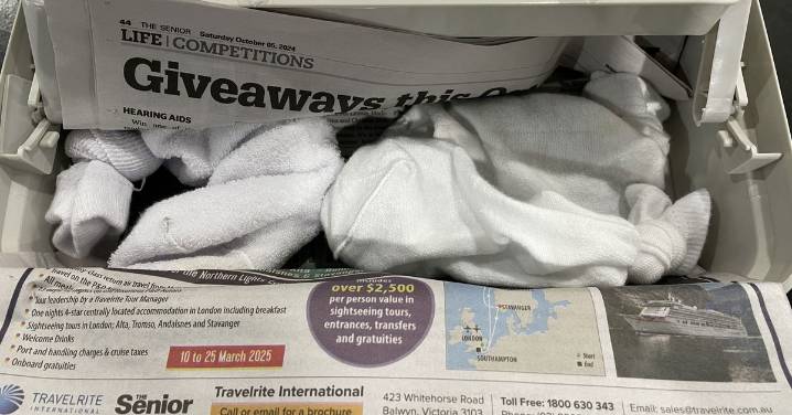 'Cruel and inhumane': Reptile smuggler sentenced after hiding lizards in boots and socks