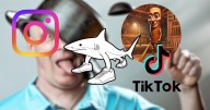 Tiktok e Instagram están “pudriendo” tu cerebro y los videos cortos tu atención, según un nuevo estudio
