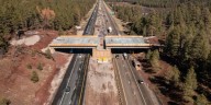 ADOT pauses Flagstaff-area wildlife overpass work for winter