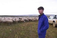 Miguel de 21 años abandona Australia y vuelve a Guadalajara: «Ni por un trabajo de 5.000 euros dejo mi pueblo»