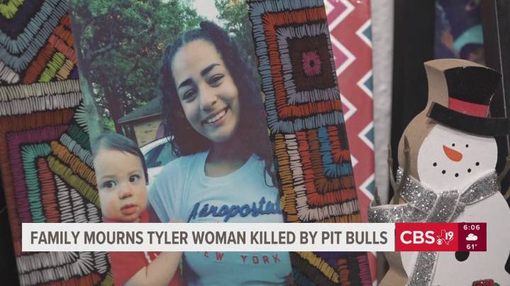 Tyler woman mourns daughter killed by three pit bull dogs