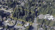 Help design Rowe Park at Nov. 6 Lynnwood workshop