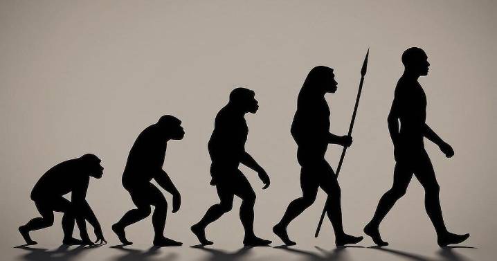 Scientists Find the Genetic Clues That Let Humans Walk on Two Legs