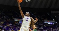 Photos: LSU Tigers Pounce on Southeastern Lions