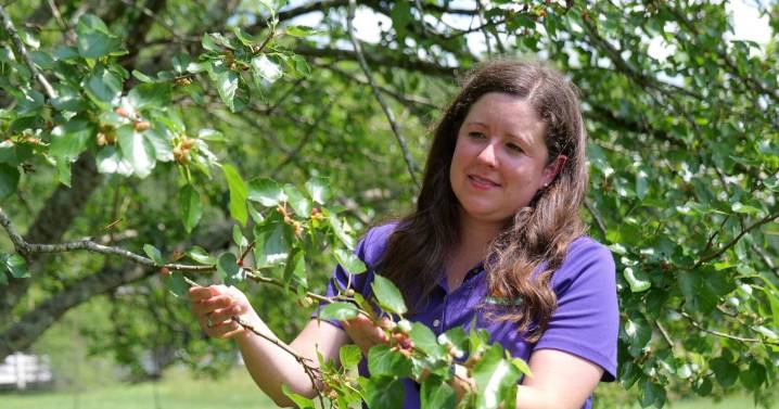 How to attract wildlife to your landscape