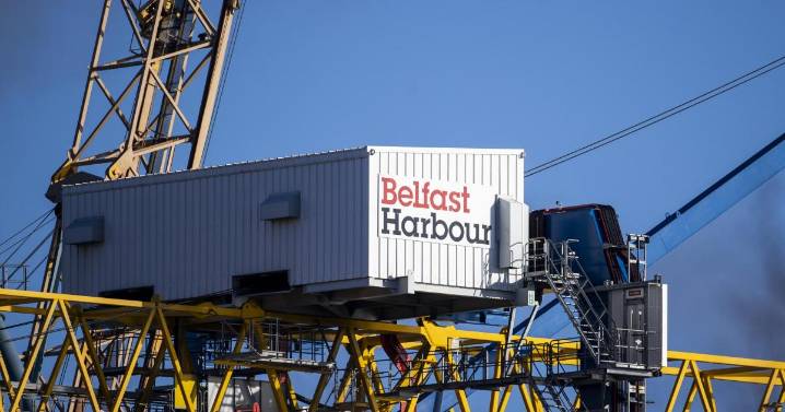 Concern over end to NI grace period on post-Brexit vet medicine rules