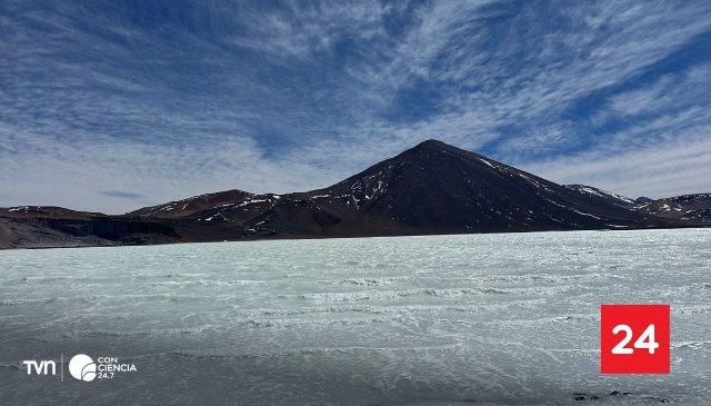 Seis nuevas áreas protegidas en Atacama: Chile avanza en la Red de Salares