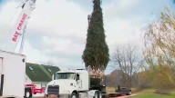Rockefeller Center holiday tree set to arrive Saturday; Lights will be added for ceremony on December 3
