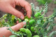 Multas millonarias. Recrudeció un conflicto entre productores del norte y un organismo oficial