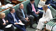 'No clear strategy': Former Liberal leader slams Sussan Ley