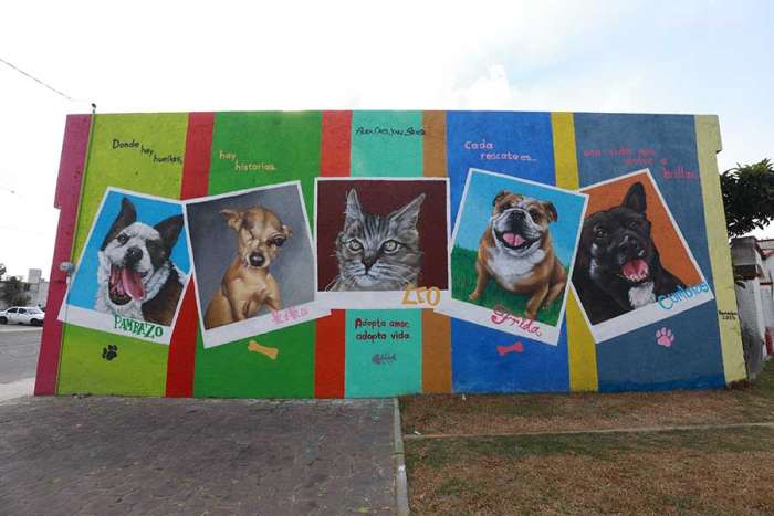 Tras 25 años abandonado, reabren centro animal en Villas Santín