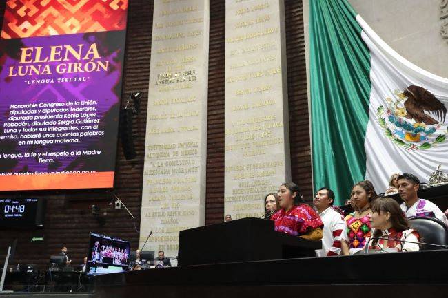 Hablante de tzeltal dijo en la Cámara de Diputados que hablar su lengua es seguir caminando con dignidad hacia el futuro
