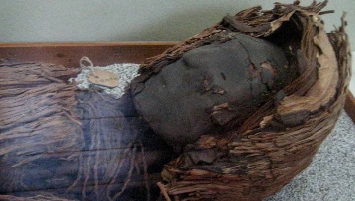 Why Did Prehistoric Mummies From The Atacama Desert Have Such Small Brains?