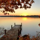 Truman Franklin Williams