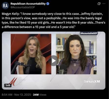 Megyn Kelly tries to launder Epstein’s reputation with word games