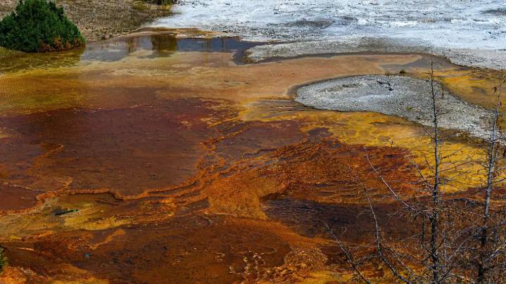El secreto de la vida está en Japón: descubren un entorno que recrea el origen de la vida en la Tierra