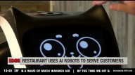 The Edge: Restaurants using AI robots to work alongside & help out human servers
