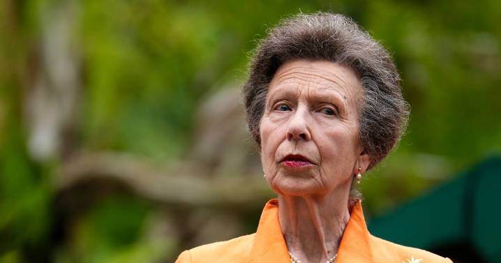 Princess Anne 'nearly throttled' Sarah Ferguson, claims royal biography