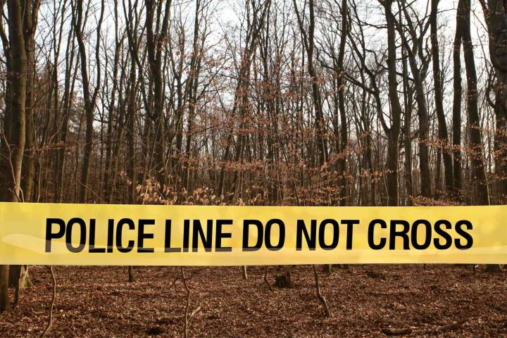 Remains Found in New York Could Be Key to Solving 18th Century Mystery