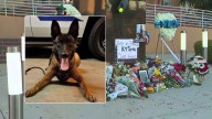 Authorities identify suspect who shot, killed Burbank police dog