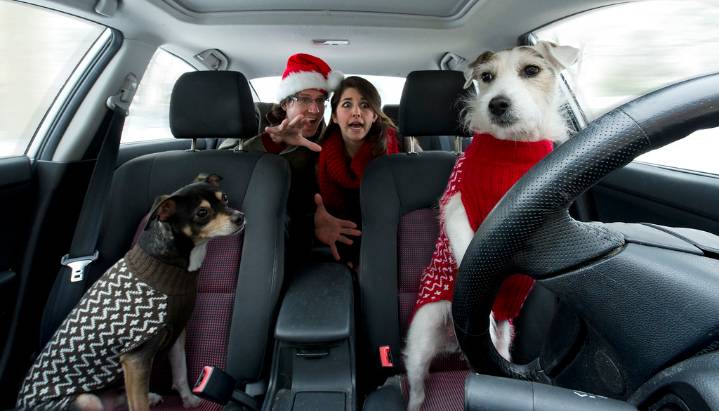 Georgia Takes Top Spot as Nation’s Most Popular Holiday Road Trip Destination