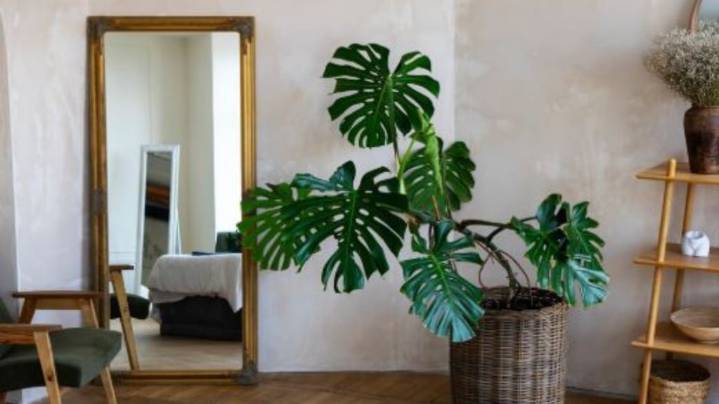 Los cinco errores con los espejos que pueden arruinar la energía de tu casa, según el Feng Shui