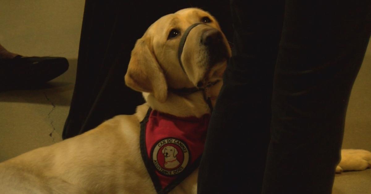 Can Do Canines hosts fundraiser to support life