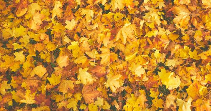 Cielos despejados y temperaturas estables este lunes en Castilla