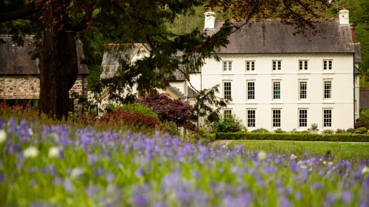 Grove of Narberth: comfort and style in the Welsh countryside