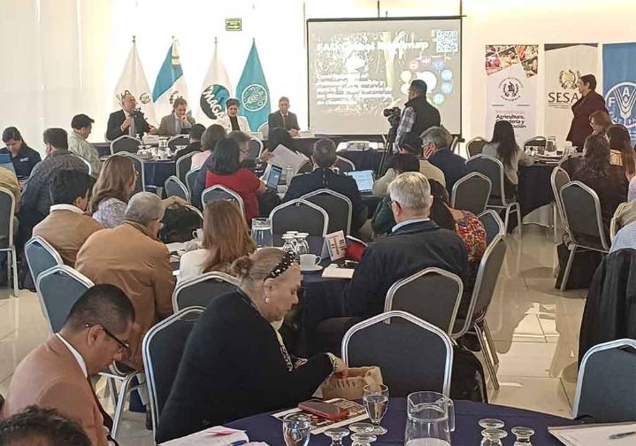 Guatemala incorporada a estrategia de FAO por transformar agricultura (+Foto)