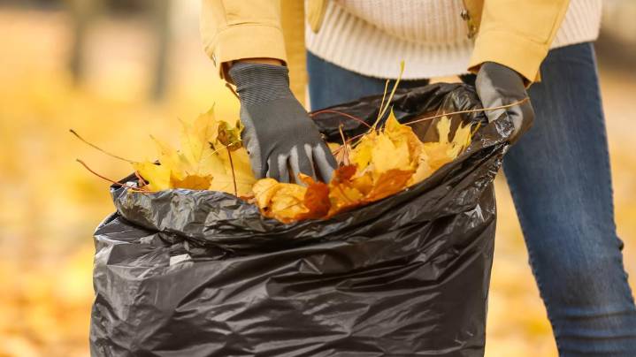 Marion County leaf collection to start Nov. 10
