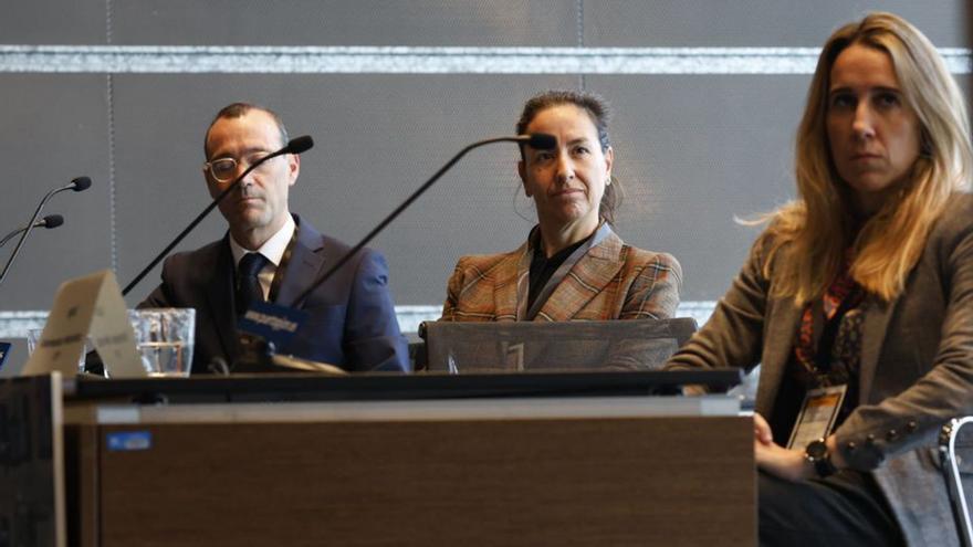 Europa, otra vez a vueltas con El Musel