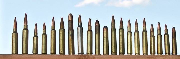 Is There REALLY a Perfect Whitetail Round?