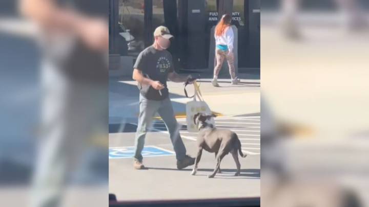 Adopted Dog’s Happy Reaction To Leaving The Georgia Shelter Has Viewers Crying