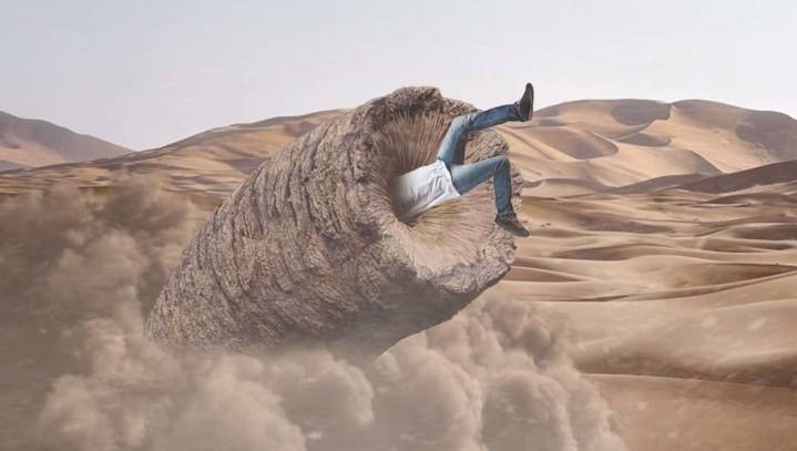 ‘It's Not The Breed, It's The Owner,’ Says Man Being Swallowed By Shai