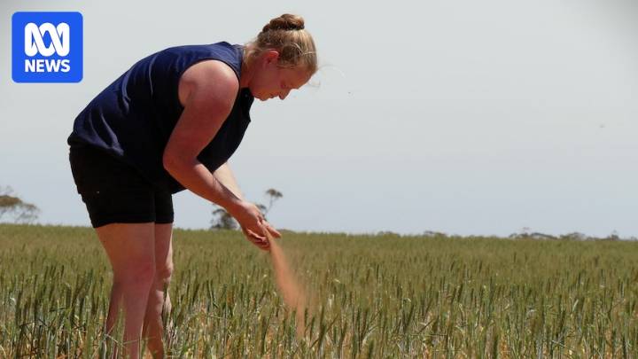 Amid ongoing drought in South Australia, these women are redefining resilience