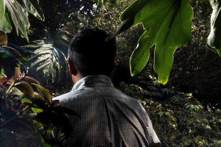 La muerte de Rodrigo Mondragón en CU destapa a un grupo de choque a cargo de la seguridad de la UNAM