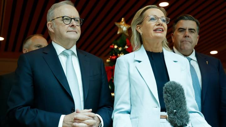 Zali Steggall warns against weakening environmental protections as Coalition urges Labor to accept industry