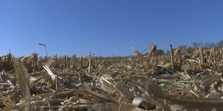 Highs will only be in the low to mid 40s come Sunday