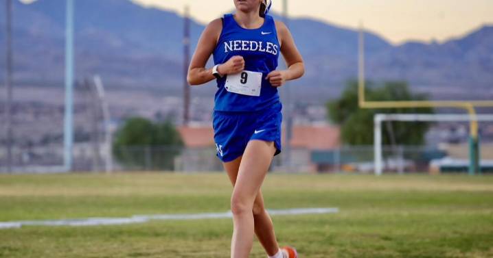 2 Needles cross country runners compete at state championship