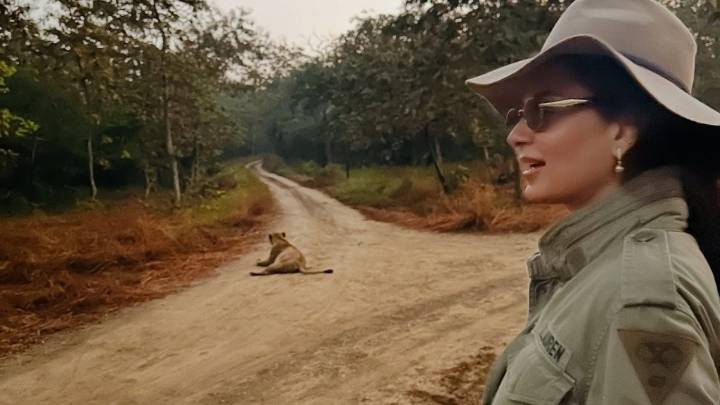 Kangana Ranaut’s Gir Safari Has Everyone Dreaming Of Gujarat: Guide To Plan Your Visit