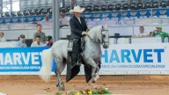 Palmira brilló: Mundial de Caballos de Paso 2025 impuso récords