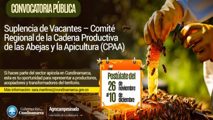 Abierta convocatoria para el liderazgo apícola en Cundinamarca