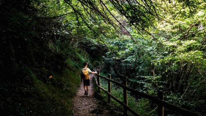 El paseo más melancólico de Aragón ideal para otoño