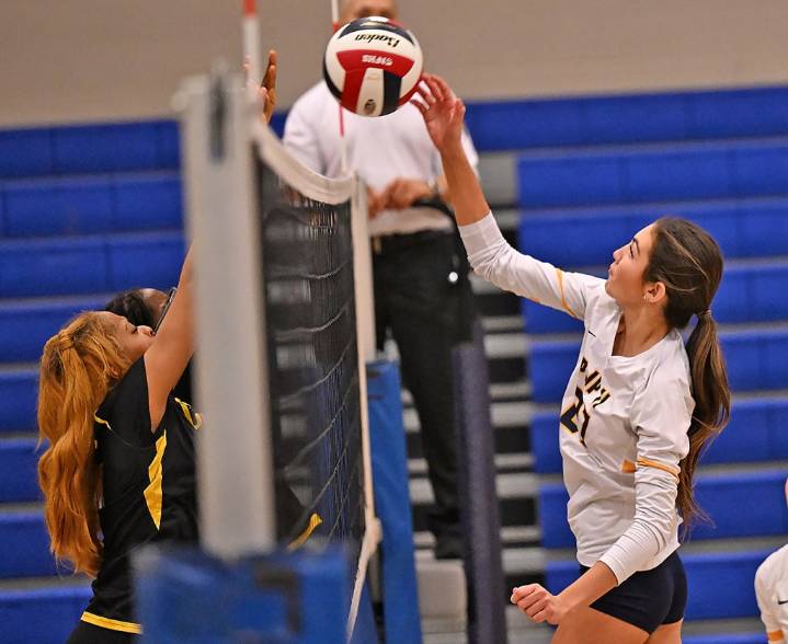 GIRLS VOLLEYBALL: PJP present and future collide as Panthers cruise in PIAA first round, move within three wins of fourth straight state title