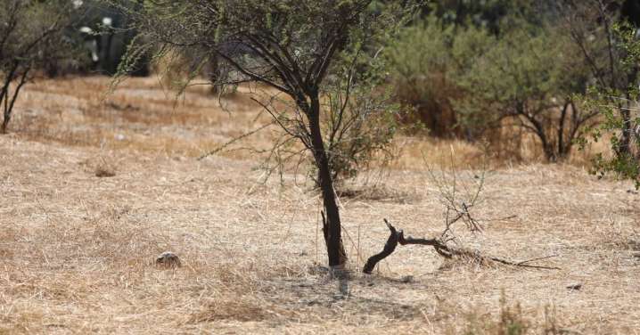 Los malos augurios para Chile si no se hace nada: A fines de este siglo nos quedaremos sin glaciares