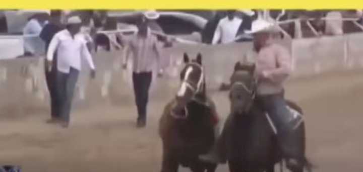 Hay 7 personas sin vida en el carril de carreras Santa Teresa; entre estos líderes criminales