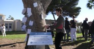 La UAL 'planta' un árbol con sus raíces fuertes como la democracia española