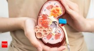 Kidney failure reversed without any drugs in mice