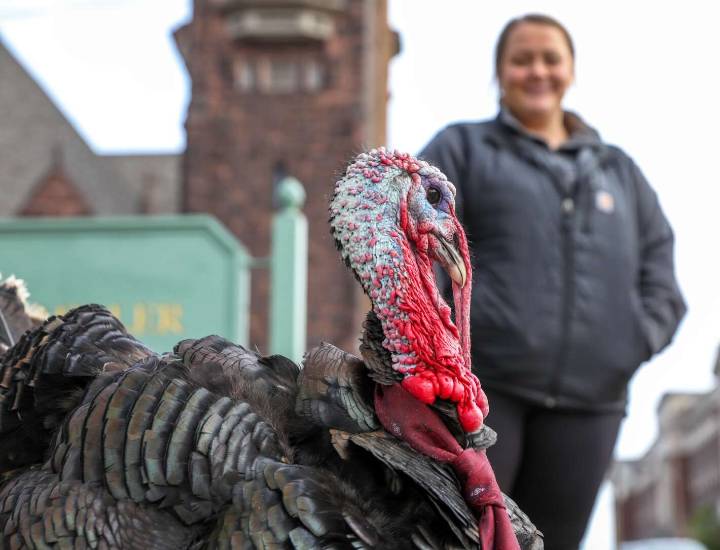 ‘People turkey’ Gravy misses Thanksgiving